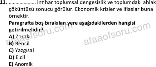 ata sosyoloji 2402 11