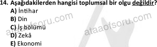 ata sosyoloji 2402 14