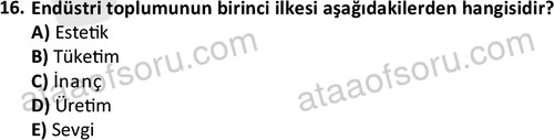 ata sosyoloji 2402 16
