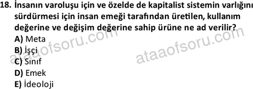 ata sosyoloji 2402 18