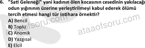 ata sosyoloji 2402 6