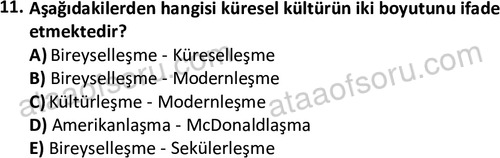 ata sosyoloji 2405 11