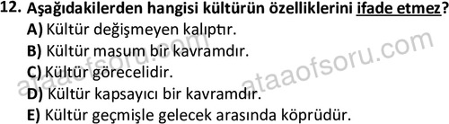 ata sosyoloji 2405 12