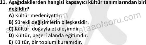 ata sosyoloji 2405 11