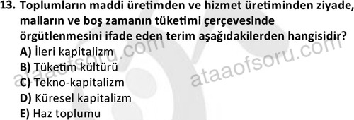 ata sosyoloji 2405 13