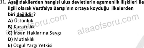 ata sosyoloji 2405 11
