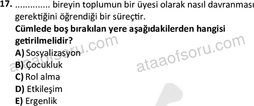 ata sosyoloji 2403 17