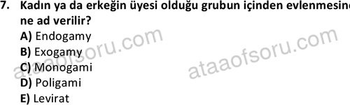ata sosyoloji 2403 7