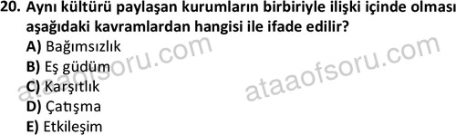 ata sosyoloji 2403 20