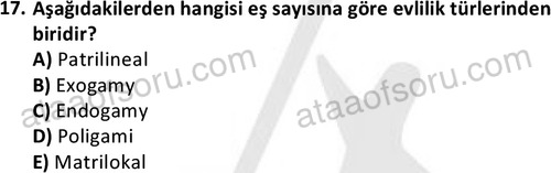 ata sosyoloji 2403 17
