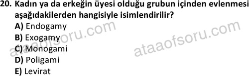 ata sosyoloji 2403 20