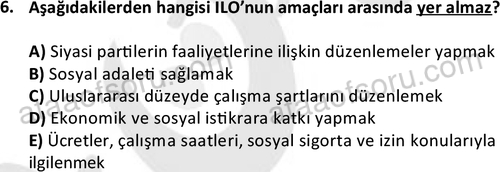 ata sosyoloji 2416 6