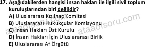 ata sosyoloji 2416 17