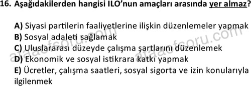ata sosyoloji 2416 16