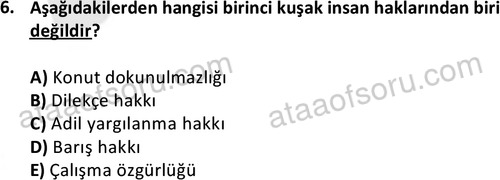 ata sosyoloji 2416 6