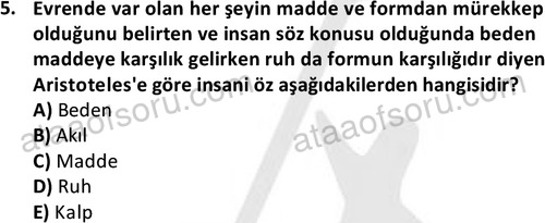 ata sosyoloji 2417 5