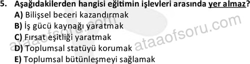 ata sosyoloji 2415 5