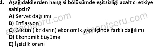 ata sosyoloji 2415 1