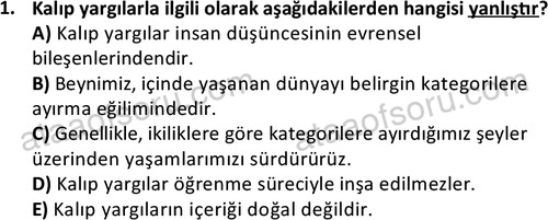 ata sosyoloji 2415 1