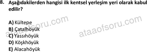 ata sosyoloji 2420 8