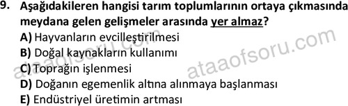 ata sosyoloji 2420 9