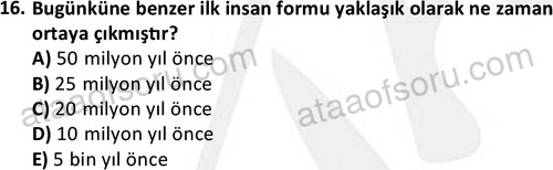 ata sosyoloji 2420 16