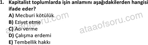 ata sosyoloji 2429 1