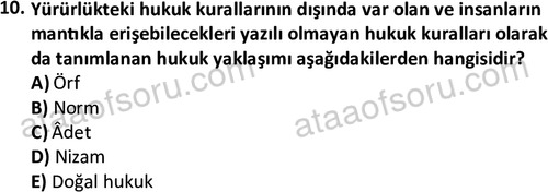 ata sosyoloji 2432 10