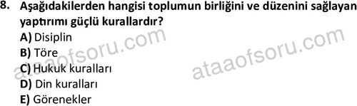 ata sosyoloji 2432 8