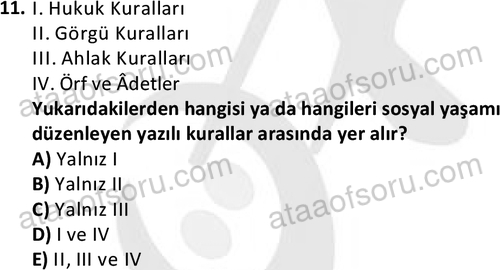 ata sosyoloji 2432 11