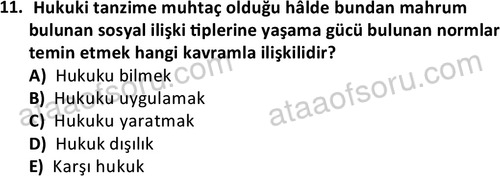 ata sosyoloji 2432 11