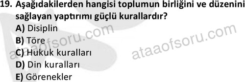 ata sosyoloji 2432 19
