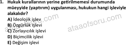 ata sosyoloji 2432 1