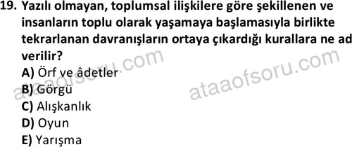 ata sosyoloji 2432 19