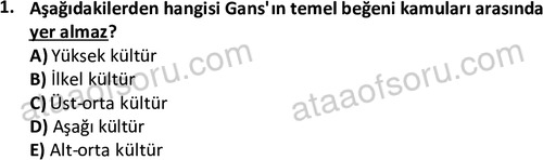 ata sosyoloji 2428 1