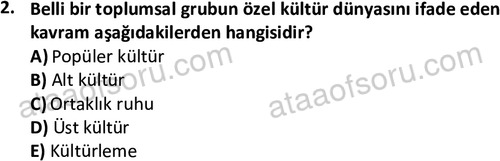 ata sosyoloji 2428 2