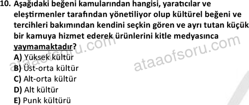 ata sosyoloji 2428 10