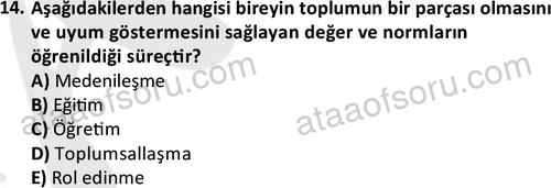 ata sosyoloji 2428 14