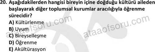 ata sosyoloji 2428 20