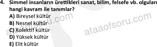 ata sosyoloji 2428 4