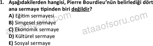 ata sosyoloji 2428 1