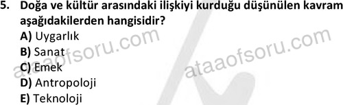 ata sosyoloji 2428 5