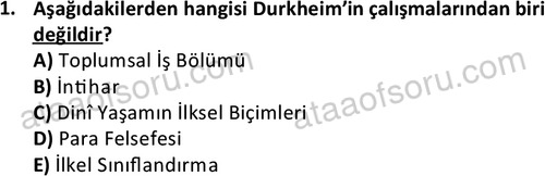 ata sosyoloji 2428 1