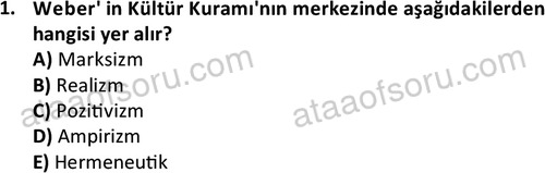 ata sosyoloji 2428 1