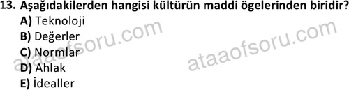 ata sosyoloji 2428 13