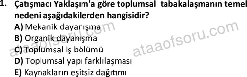 ata sosyoloji 2430 1