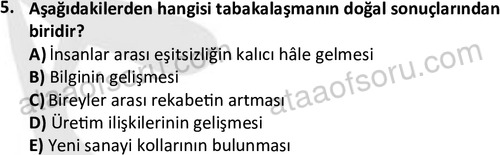 ata sosyoloji 2430 5