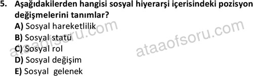 ata sosyoloji 2430 5