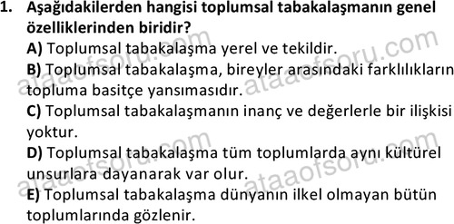 ata sosyoloji 2430 1