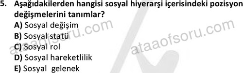 ata sosyoloji 2430 5